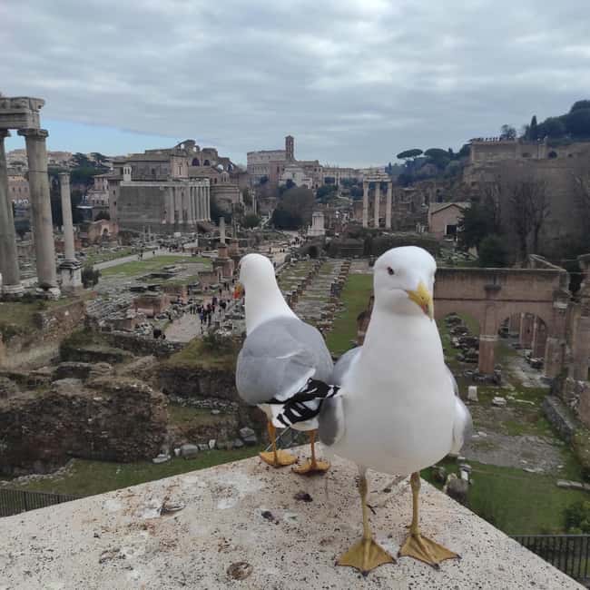 Rome: 4-Hour Private Tour with Driver - Vatican City and the limits of a four-hour tour