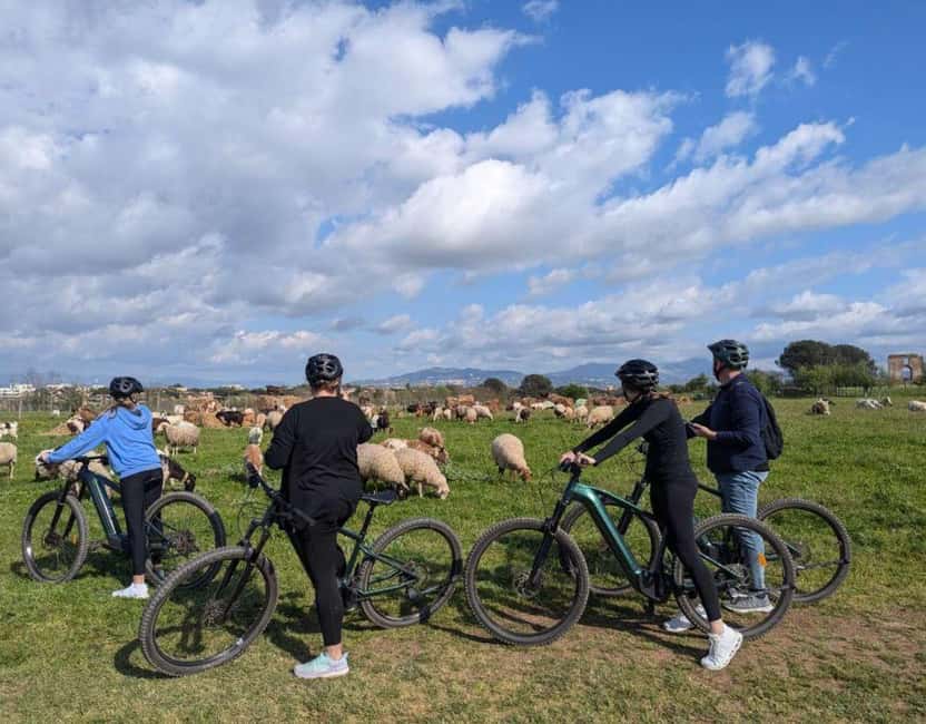 Rome: Appia Antica & Ancient Underground Labyrinth by Ebike - Is $82.34 a fair price?