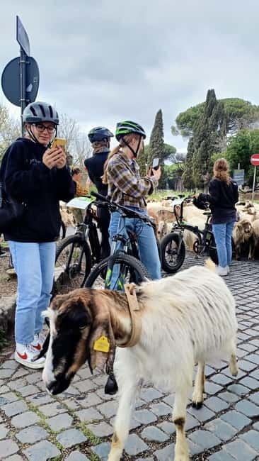 Rome: Appian Way, Aqueducts, & Catacombs E-Bike Guided Tour - Aqueduct Park and Roman engineering