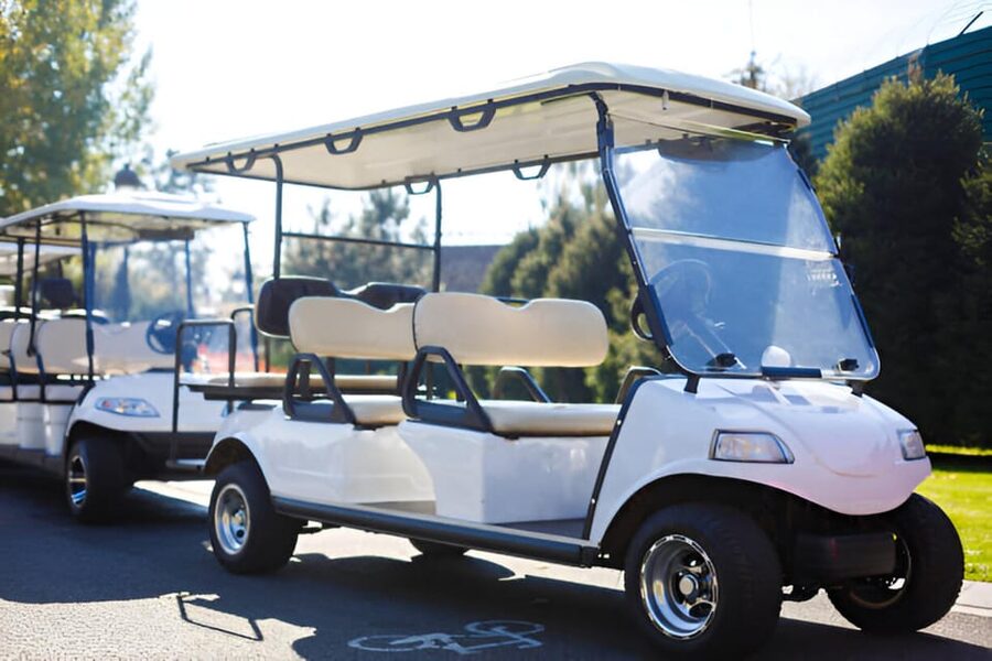 Rome: City Highlights Golf Car Tour - The Colosseum and Circus Maximus