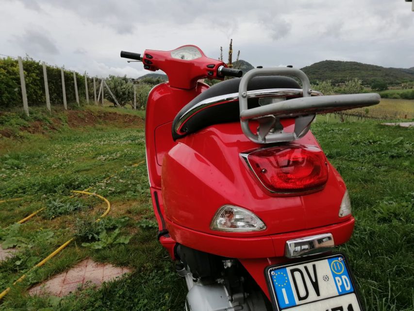 Rome: City Highlights Vespa Tour with Driver - The appeal of seeing Rome like a local