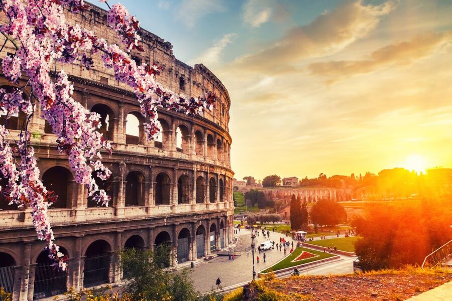 Rome: Colosseum, Arena and Ancient Rome Private Guided Tour - Palatine Hill and the views over ancient Rome