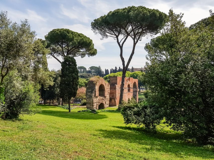 Rome: Colosseum Arena, Palatine Hill & Forum Guided Tour - Why the Arena Floor Changes the Colosseum Visit