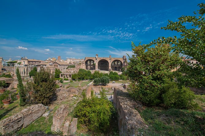 Rome: Colosseum Arena, Roman Forum & Palatine Hill Tour - Is $71.20 a fair price?