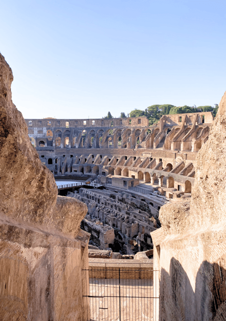 Rome: Colosseum Arena & Roman Forum Small Group Tour - The Curia and the final section of the route