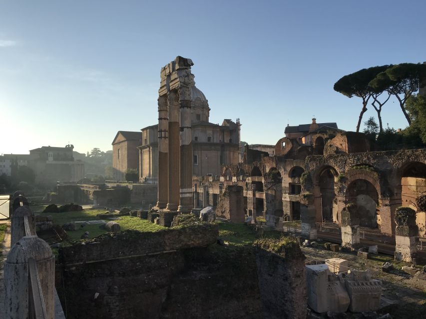 Rome: Colosseum, Forum, and Palatine Hill Guided Tour - What the guides add to the experience