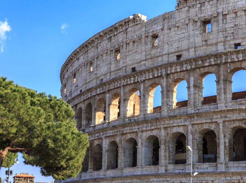 Rome: Colosseum, Forum and Palatine Hill Private Guided Tour - Is this Colosseum tour right for you?