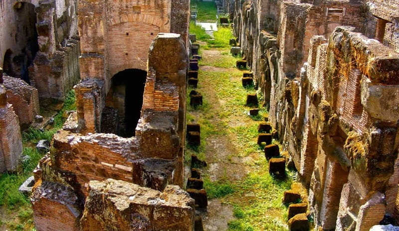 Rome: Colosseum Gladiator's Arena and Roman Forum Tour - Who should book this experience?