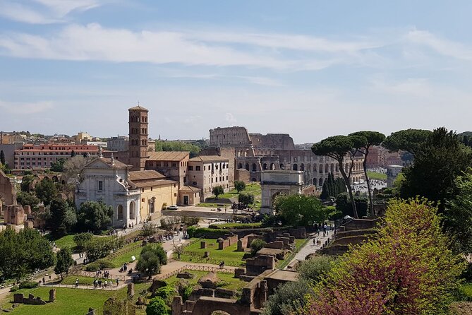 Rome: Colosseum, Palatine Hill and Roman Forum Guided Tour - Walking the Via Sacra to Palatine Hill