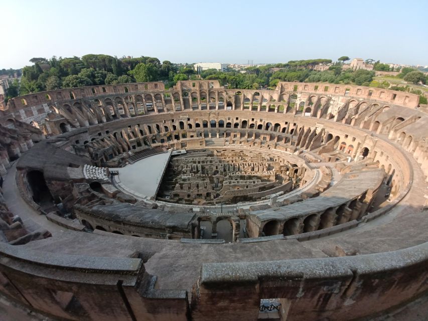 Rome: Colosseum, Palatine Hill, & Roman Forum Walking Tour - Key points to know before booking