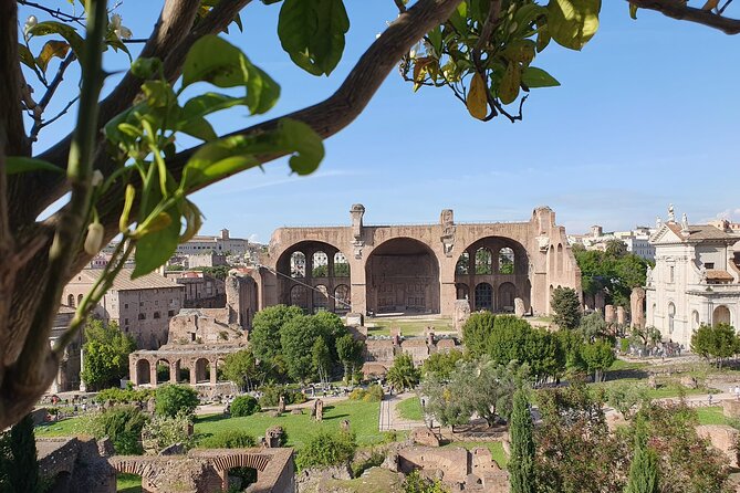 Rome: Colosseum, Roman Forum & Palatine Hill Experience - Who should choose this experience?
