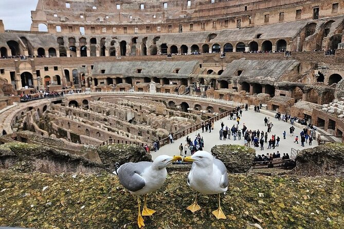 Rome: Colosseum, Roman Forum & Palatine Hill Visit + Audio Guide - Climbing Palatine Hill for the views