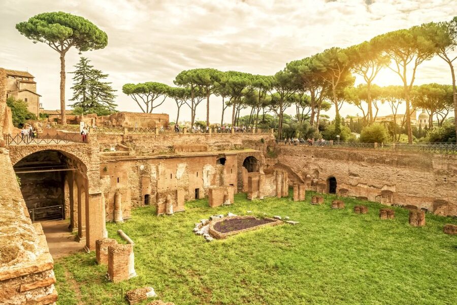 Rome: Colosseum Underground, Arena & Forum Tour - Palatine Hill and the best views of the ancient city