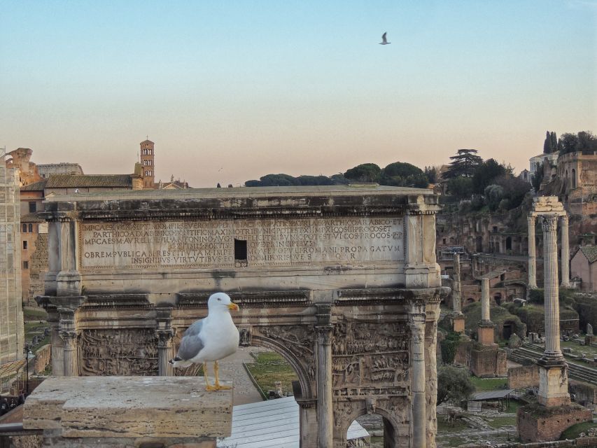 Rome: Colosseum with Arena Floor, Forum & Palatine Hill Tour - Key Points Before You Book
