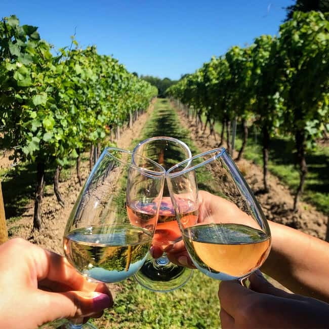 Rome Countryside: Wine Tasting Tour with Private Driver - Key points to know before booking