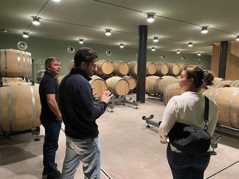 Rome Countryside: Wine Tasting Tour with Private Driver - Why the private format affects the value