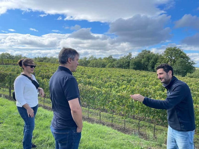 Rome Countryside: Wine Tasting Tour with Private Driver - Who will enjoy this wine outing most
