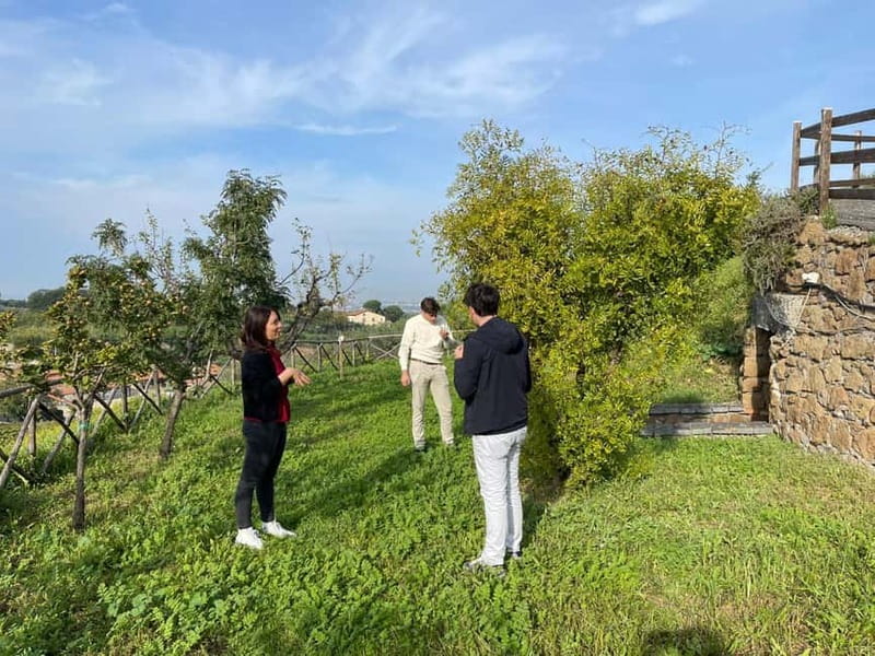 Rome Countryside: Wine Tasting Tour with Private Driver - Practical details that make the day easier