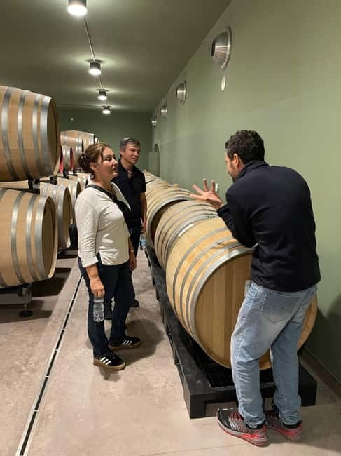 Rome Countryside: Wine Tasting Tour with Private Driver - Is the Rome countryside wine tour worth booking?