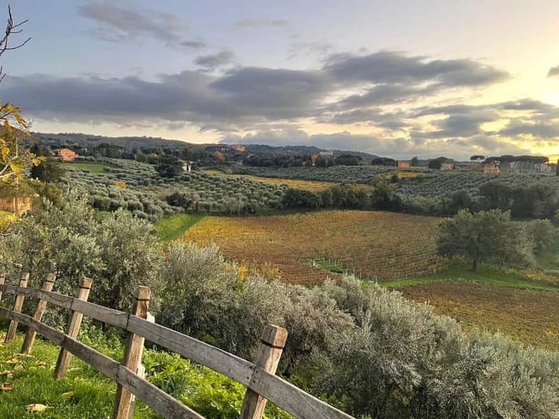 Rome Countryside: Wine Tasting Tour with Private Driver - Frascati, a countryside break close to Rome