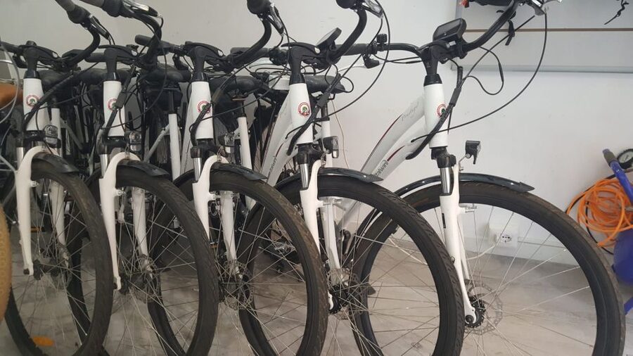 Rome: Electric Bike Rental Service - Five assistance levels and a 36-volt battery