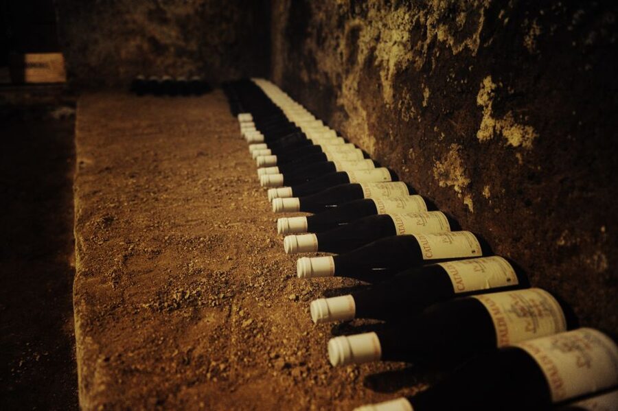 Rome: Guided Italian Wine Tasting Experience - Key points to know