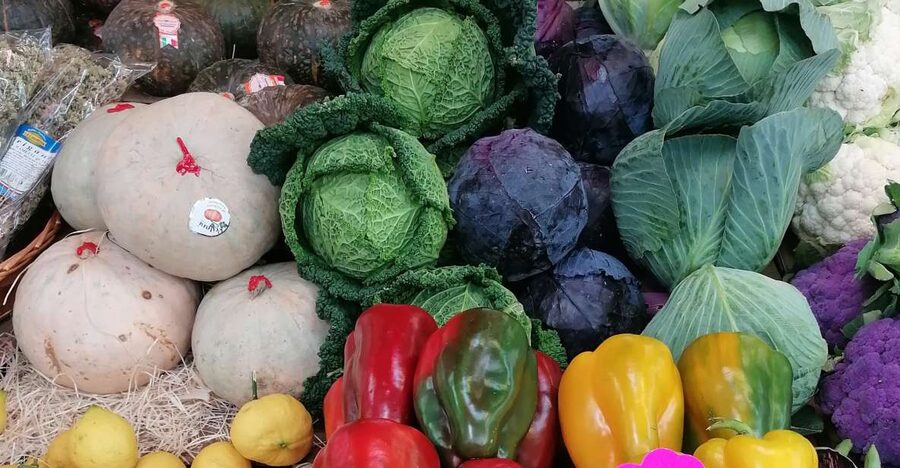 Rome: Guided Testaccio Market Food Tour with Tastings - Key points to know before you book