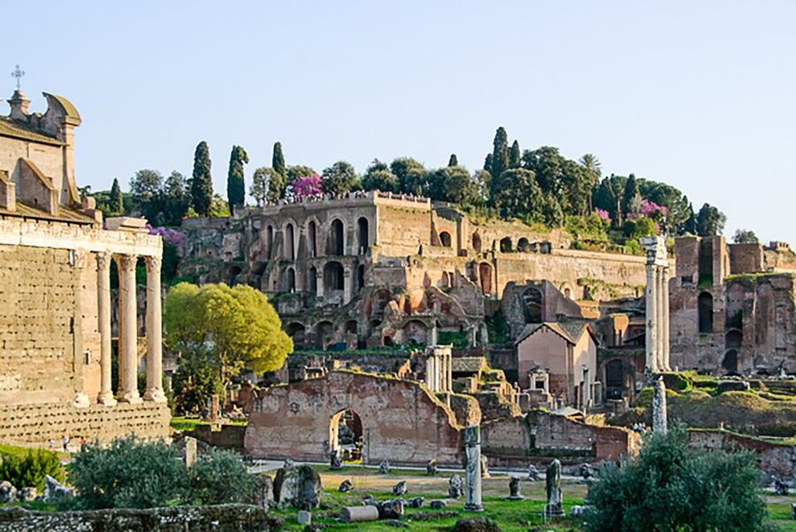 Rome: Guided Tour of Colosseum, Roman Forum & Palatine Hill - Palatine Hill brings the best views