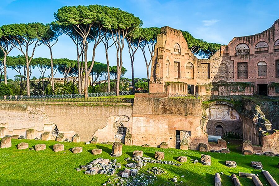 Rome: Guided Tour of Colosseum, Roman Forum & Palatine Hill - The guides make the biggest difference
