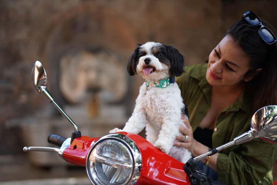 Rome: Guided Vespa Tour with Professional Photoshoot - Terrazza del Gianicolo and the Roman Panorama