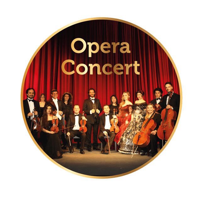 Rome: Musical Biography of Frank Sinatra Concert - What the performance feels like
