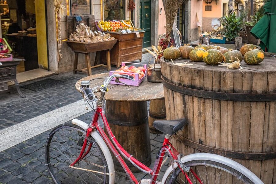 Rome: Nemi, Gandolfo & Castel Romano Photo and Shopping Tour - Key points to know before booking