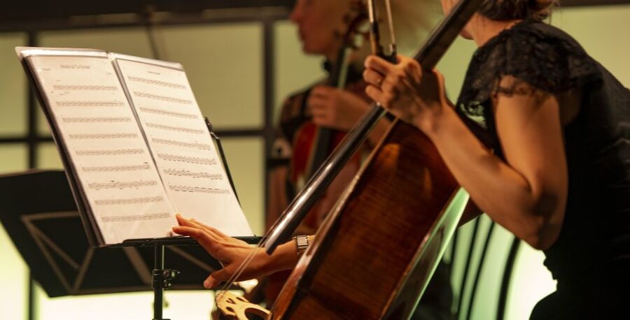 Rome: Opera Concert at Palazzo Poli - Fontana di Trevi - Practical details for a smooth evening
