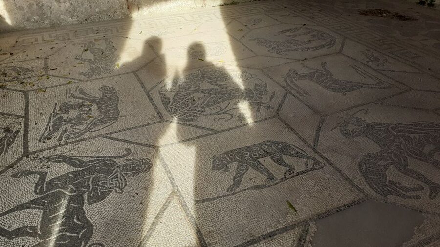 Rome: Ostia Antica Private Guided Tour - Key points to know before you go