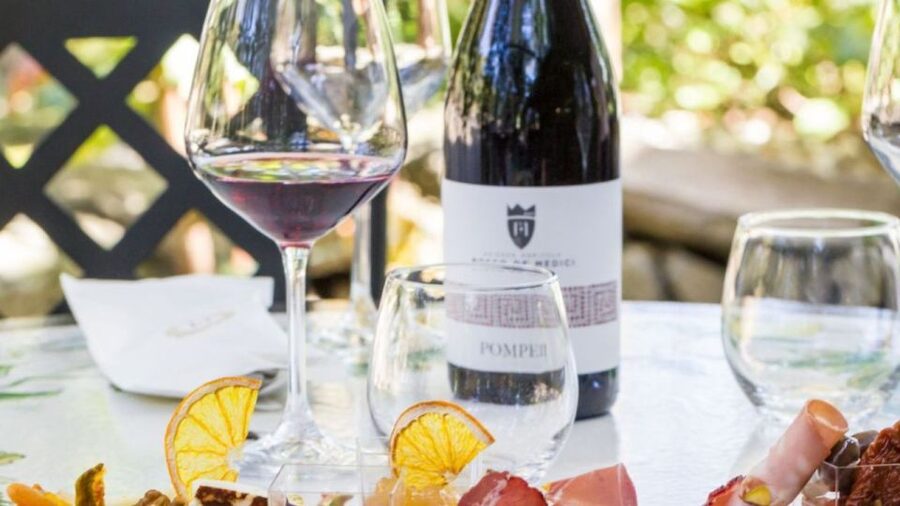 Rome: Pompeii Tour with Wine and Lunch by High Speed Train - Why the high-speed train changes the Pompeii equation