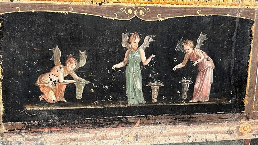 Rome: Pompeii Tour with Wine and Lunch by High Speed Train - A vineyard lunch near Mount Vesuvius