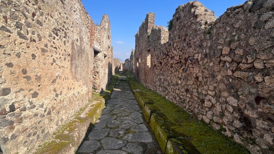 Rome: Pompeii Tour with Wine and Lunch by High Speed Train - How the nine-hour schedule feels
