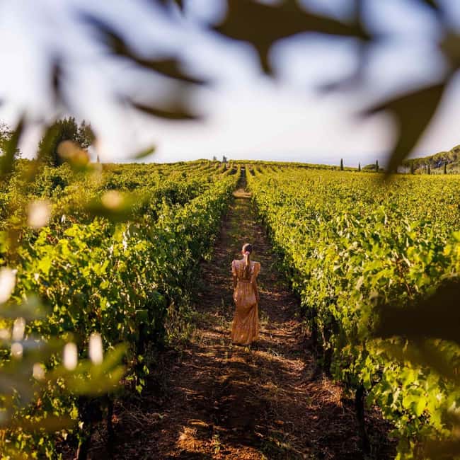 Rome: Private Castelli Romani Wine Tasting Tour - Why Castelli Romani makes a good break from Rome