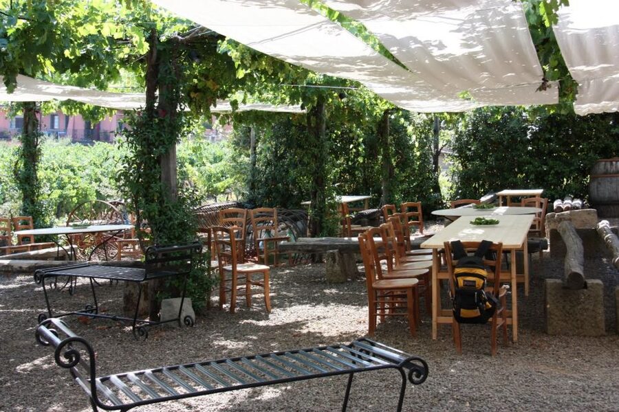 Rome: Private Castelli Romani Wine Tasting Tour - Three wines, three different styles