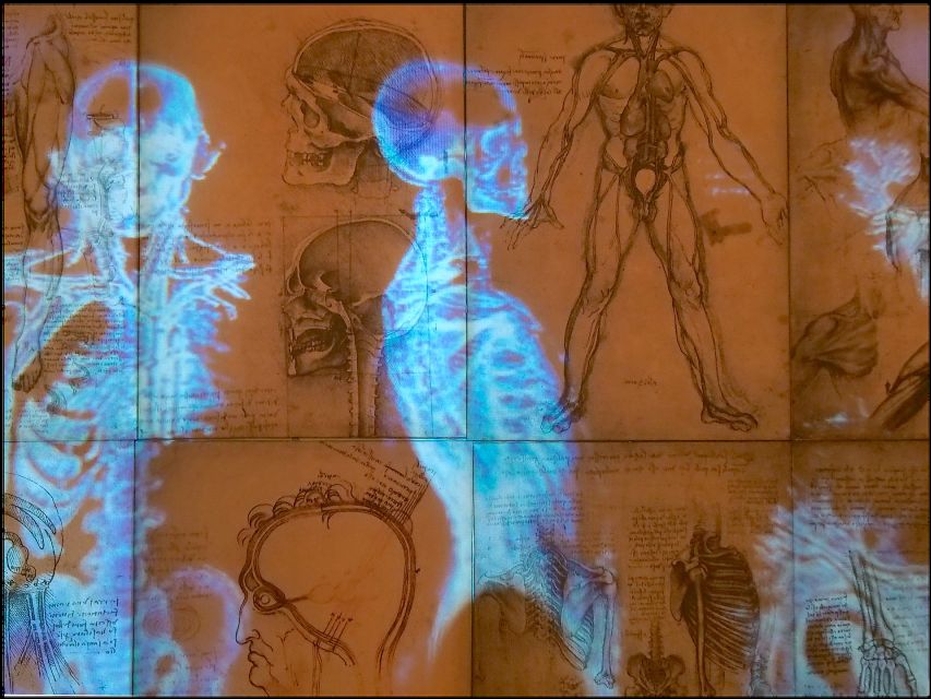 Rome: Private Leonardo da Vinci Exhibition Guided Tour - How the private tour works for families and small groups