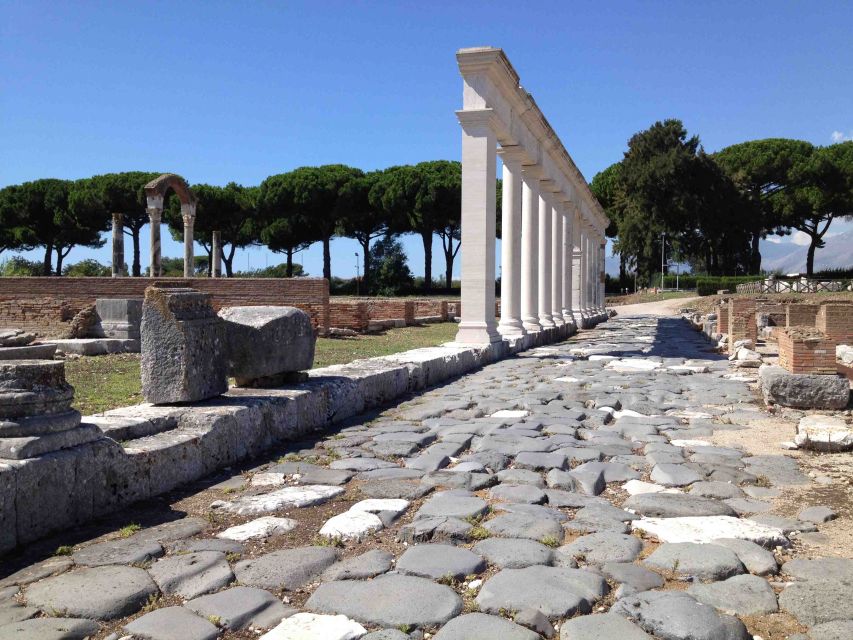 Rome: Private Tailored City Tour with Expert Driver - Trastevere, Circus Maximus, and the Gianicolo view