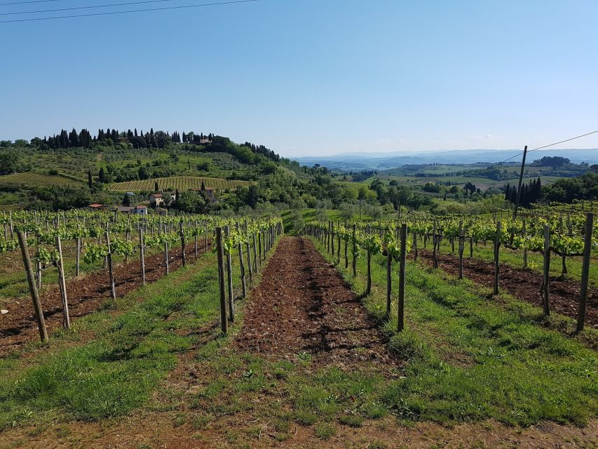 Rome: Private Tour to San Gimignano, Siena & Winery Visit - Siena’s Piazza del Campo and cathedral area