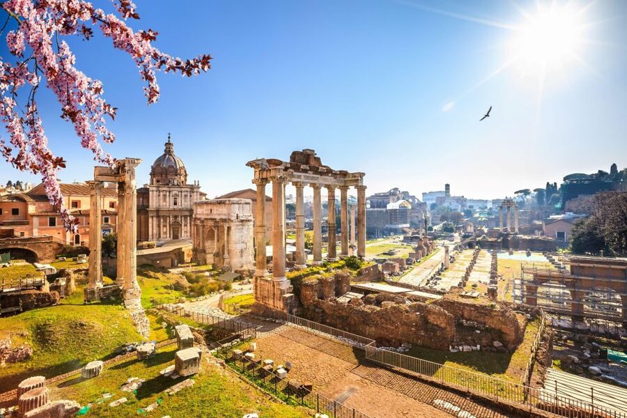 Rome: Roman Forum and Palatine Hill Licensed Guided Tour - A guide makes the ruins easier to read