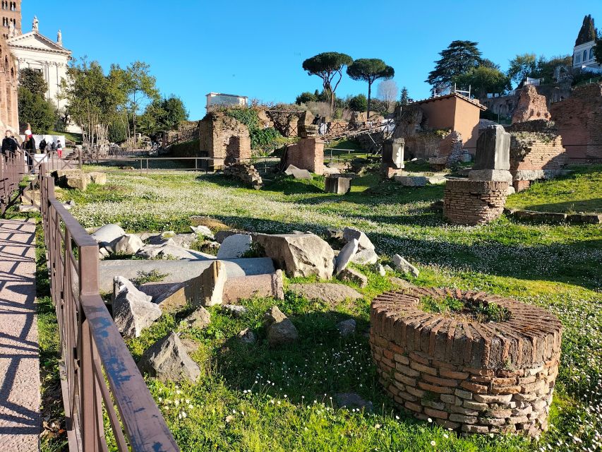 Rome: Roman Forum and Palatine Hill Licensed Guided Tour - Weather, heat, and the right time of day