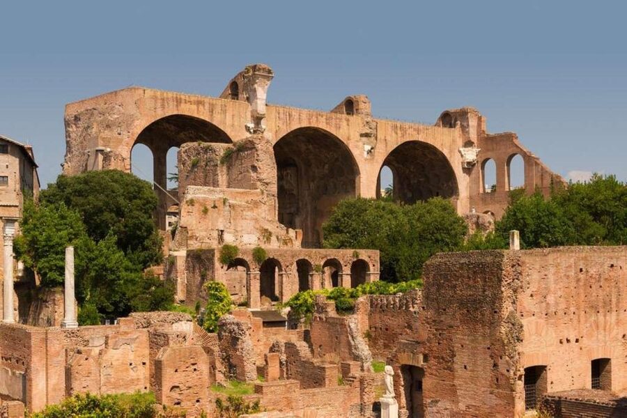 Rome: Roman Forum and Palatine Hill Licensed Guided Tour - Temples, basilicas, and the machinery of Roman government