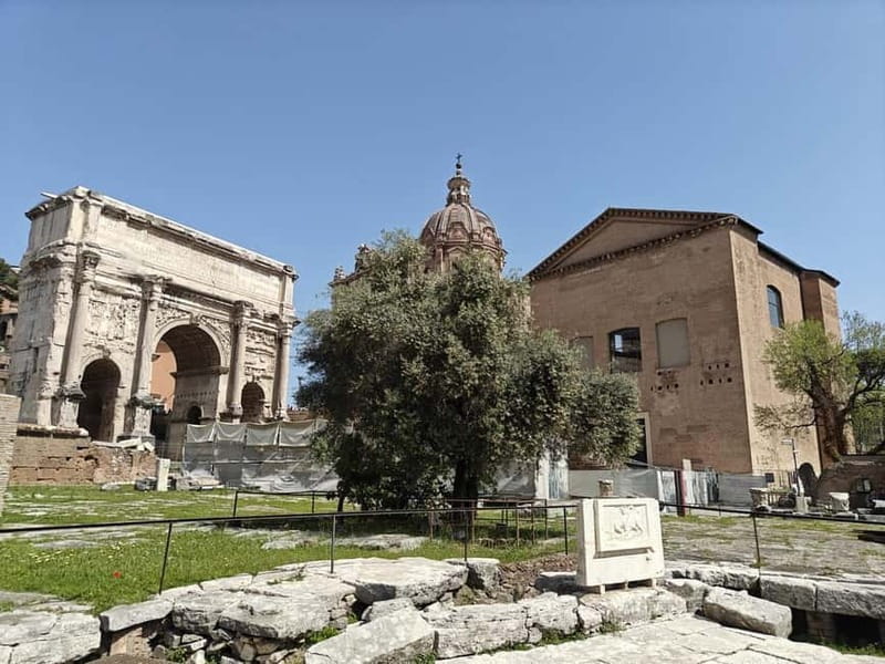 Rome: Roman Forum Myths and Legends Private Guided Tour - Following Romulus, Remus, and Rome’s founding myths