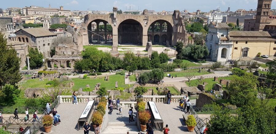 Rome: Small-Group Colosseum, Roman Forum & Palatine Hill - Climbing Palatine Hill for imperial remains and views