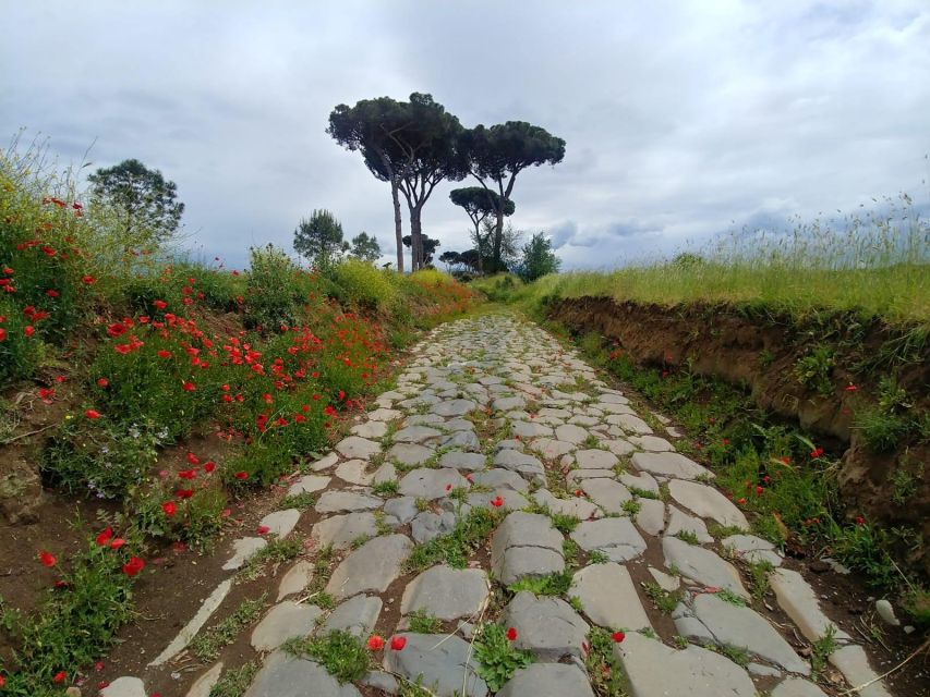 Rome: The Ancient Aqueducts of Rome Guided Tour - Aqueduct Park and Rome’s quieter side