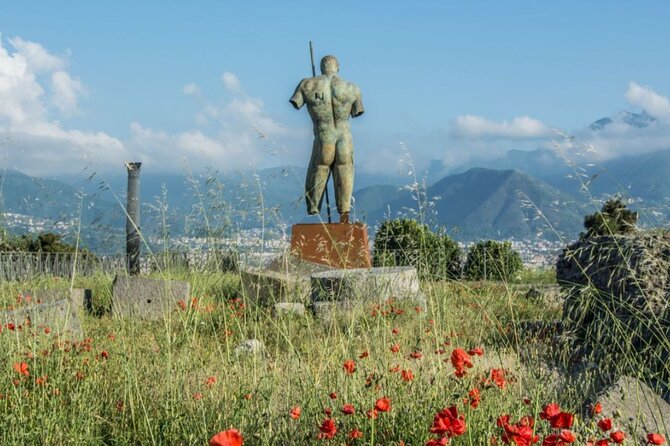 Rome to Pompeii Guided Tour with Wine & Lunch by High Speed Train - Group size, guiding, and the human side of the day