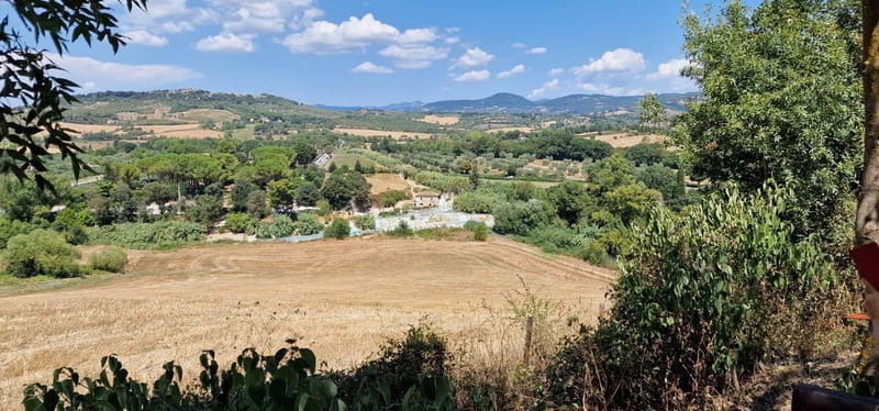 Rome to Saturnia ; Thermal Springs Day Trip with Lunch - The Tuscan trees photo stop